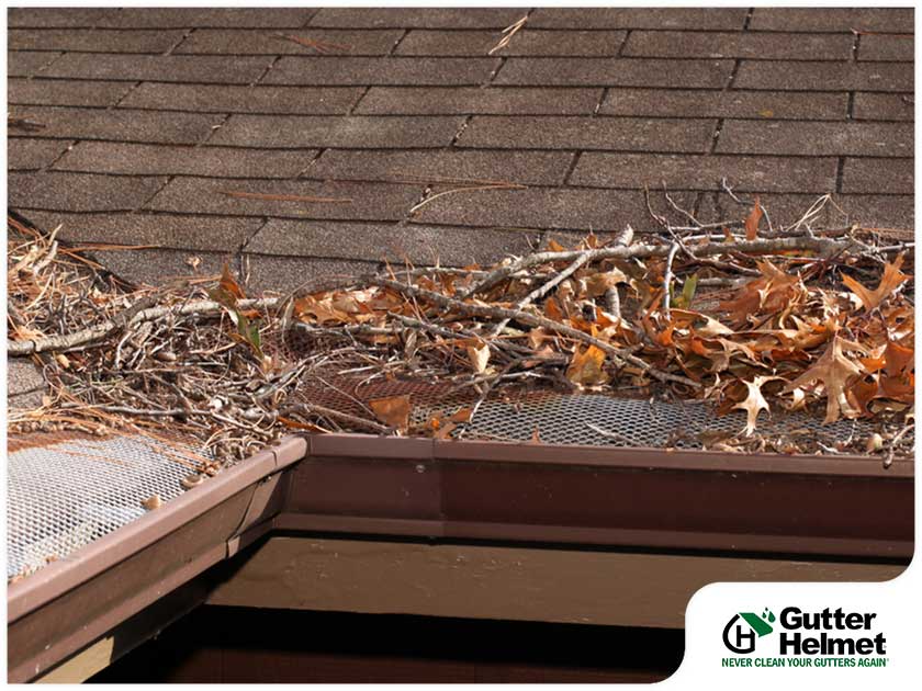 Before or After Fall: When to Have Your Gutters Cleaned