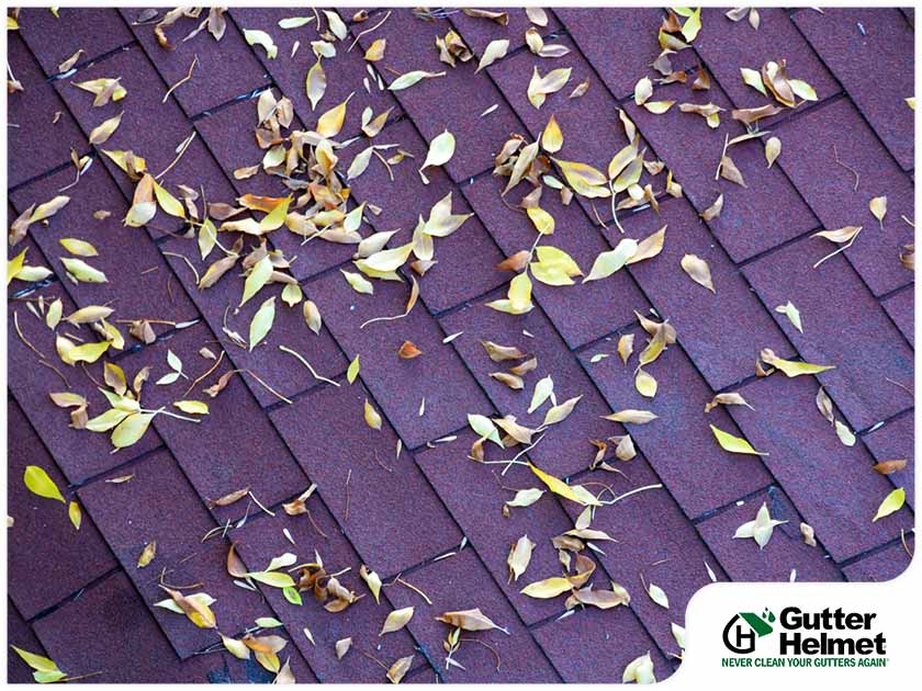 How to Prevent Roof Damage From Fallen Leaves