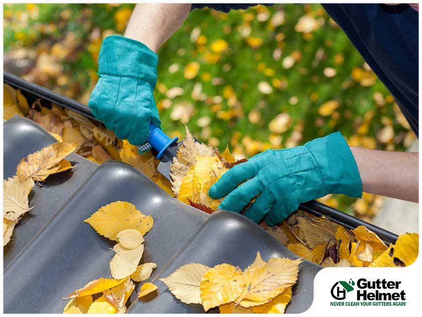 Before or After Fall: When to Schedule Gutter Cleaning