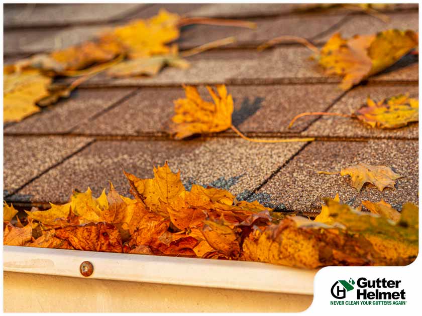 The Consequences of Fallen Leaves on Your Roof