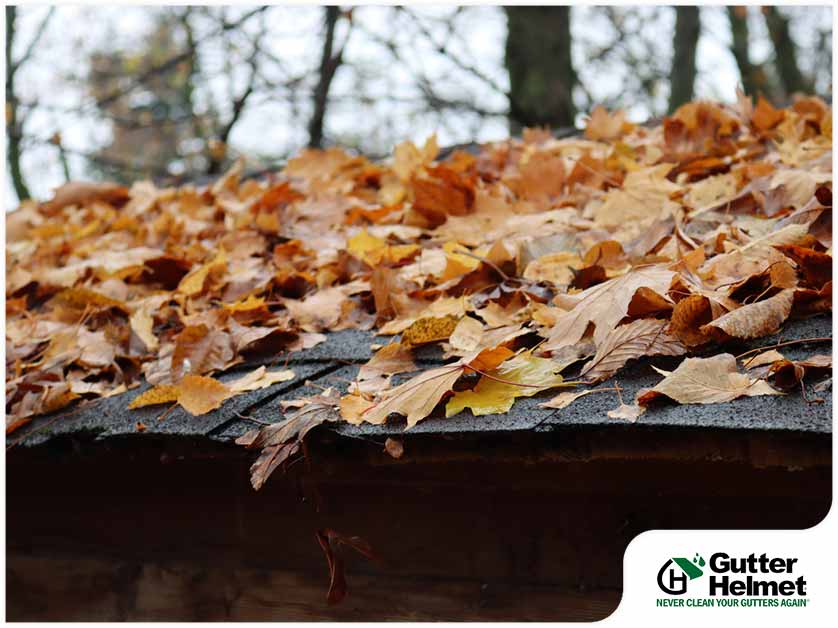 How Fallen Leaves Cause Damage to Roofing