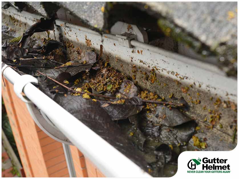 Slime, Sludge, and Silt: How Do They Get in Your Gutters?