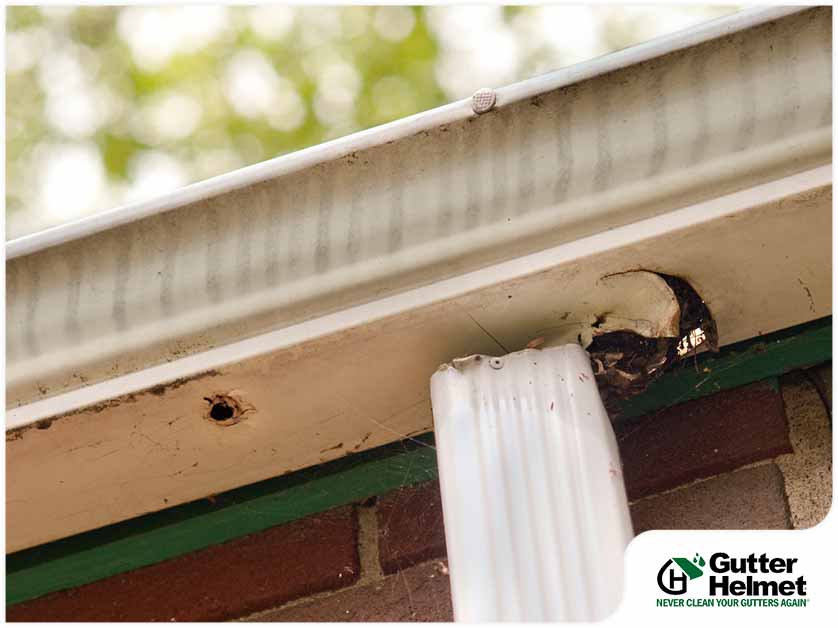 What Causes Black Streaks to Appear on Gutters?