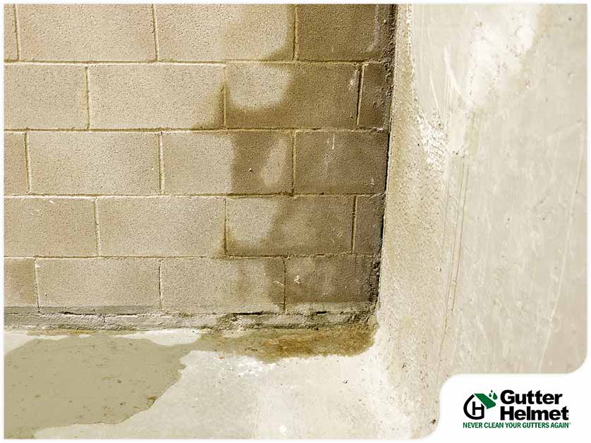 3 Reasons Your Basement Is Damp