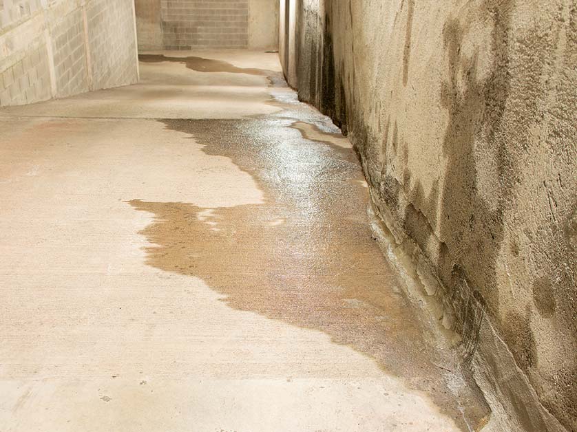 How to Deal With a Damp Basement