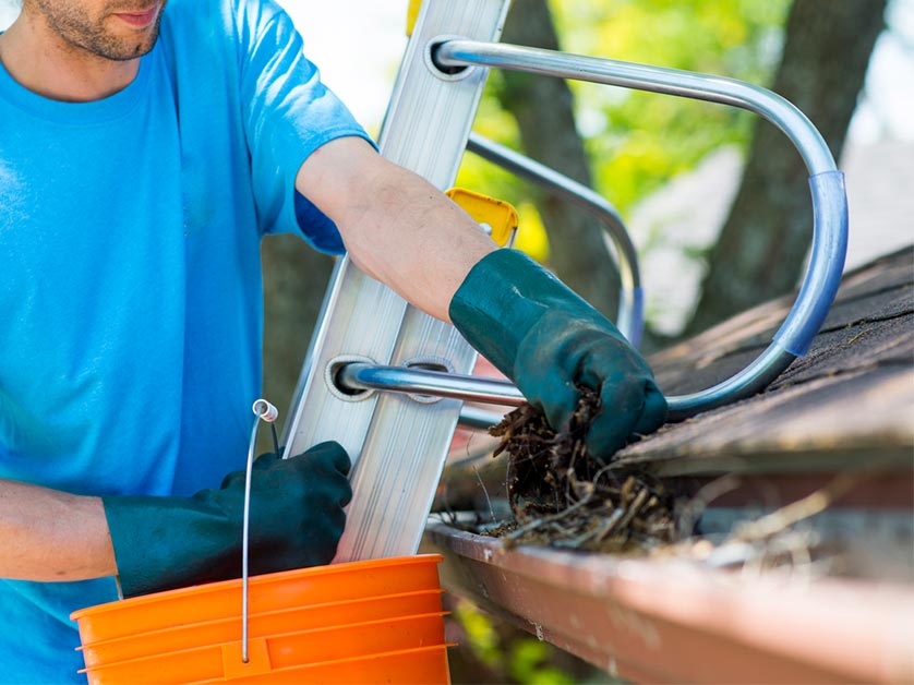 The Importance of Gutter Maintenance During Summer