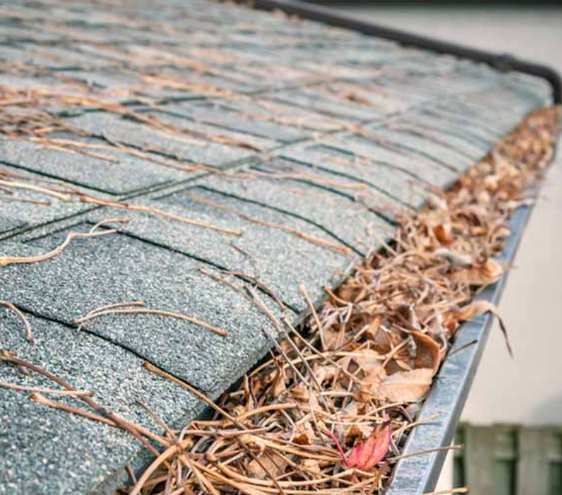 Gutter Filled With Leaves