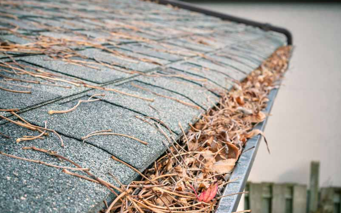 Gutter Protection: From Classics to Today’s Cutting-Edge Solution
